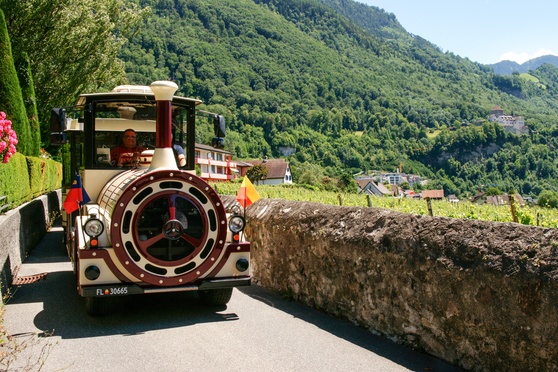 Citytrain Tours – experience Vaduz