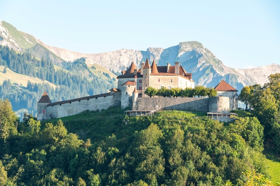 The Swiss Castles