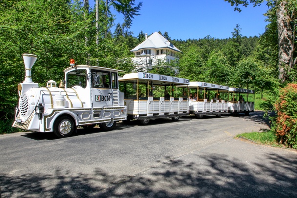 Tourist train