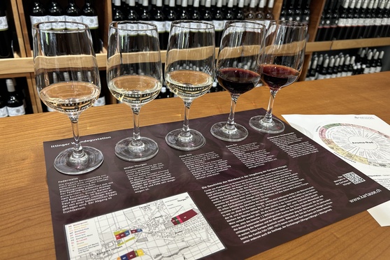 Wine tasting in the monastery