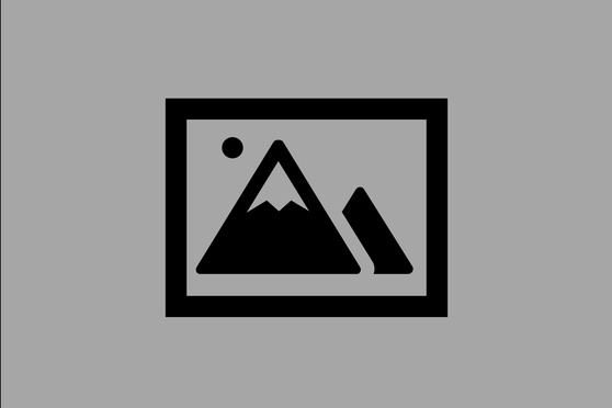 Guided tours and excursions