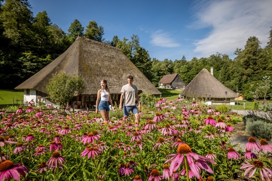 Ballenberg Open-Air Museum