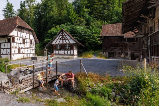 Ballenberg Open-Air Museum