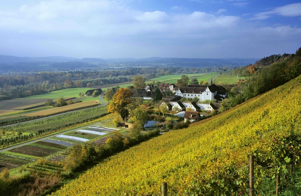 Wine tasting in the former monastery