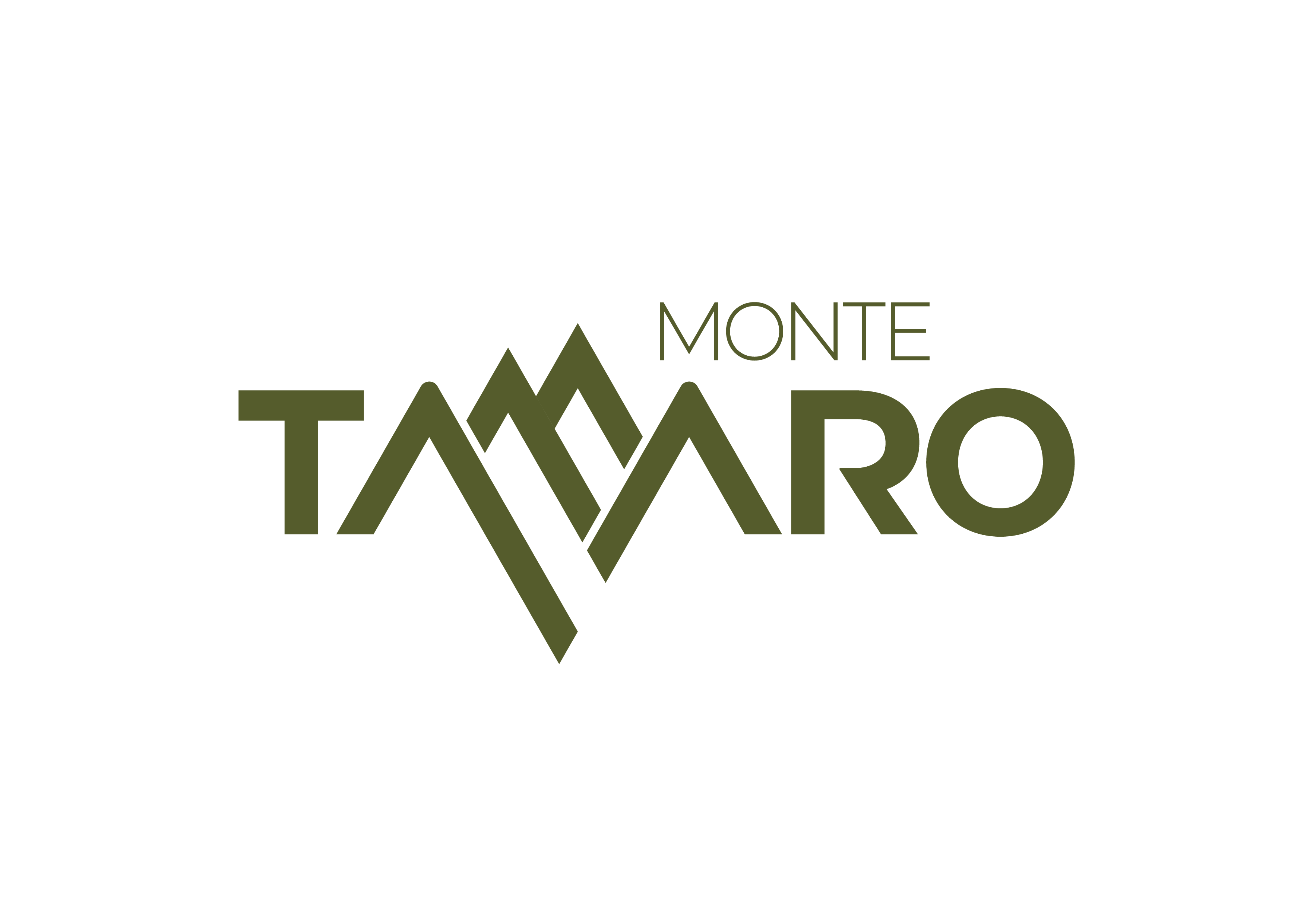 Monte Tamaro SA