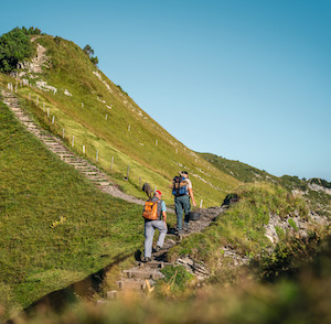 Activate Digital Swiss Coupon Pass